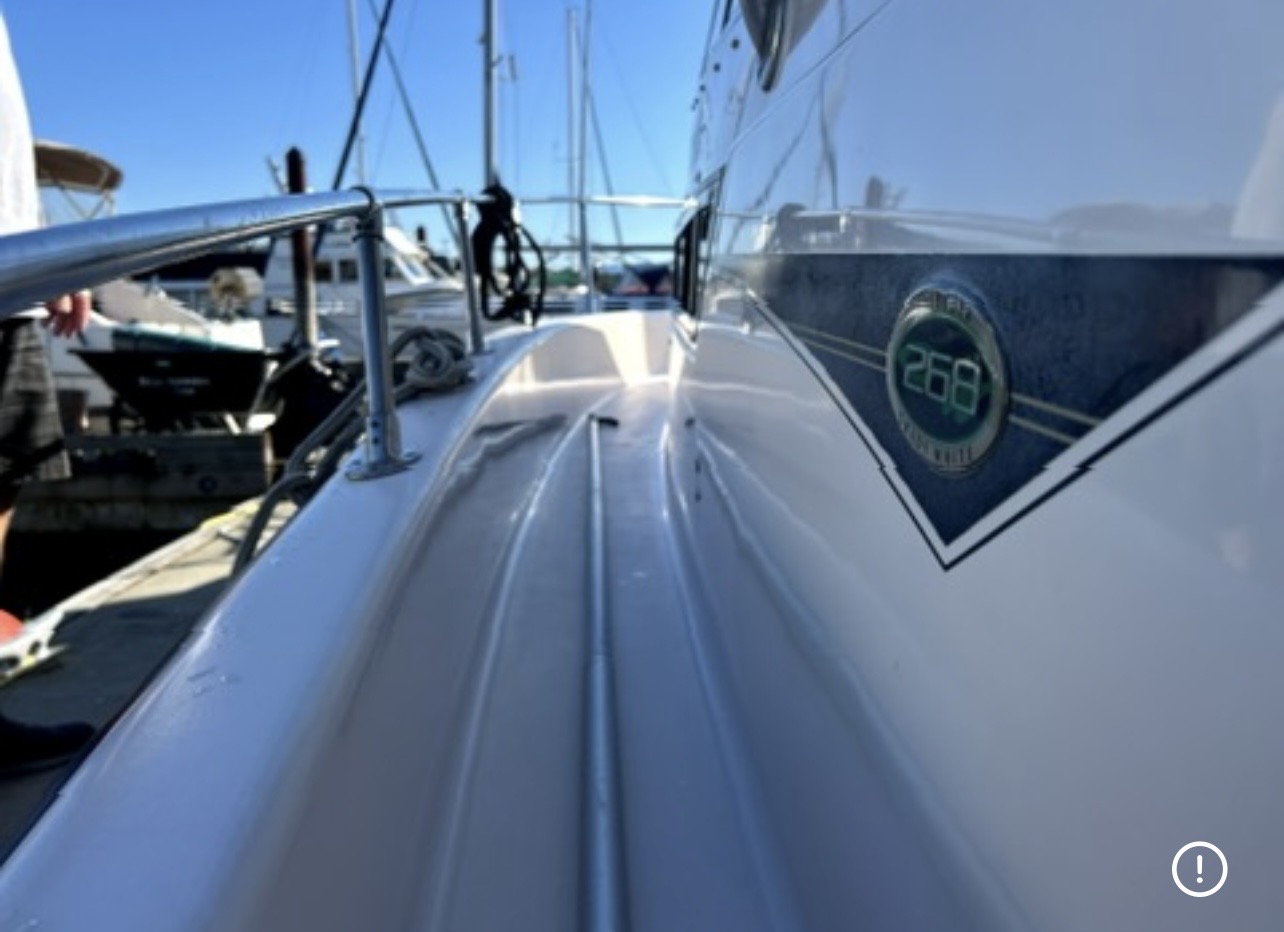 Bayliner VR6 cut polish vinyl restoration window ceramic